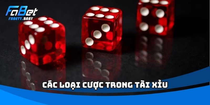 Các loại cược trong Tài Xỉu
