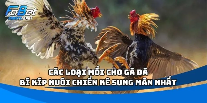 Các Loại Mồi Cho Gà Đá
