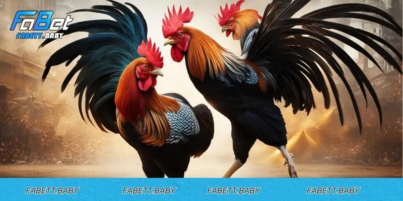 Nguồn carbohydrate tốt nhất cho gà