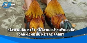 Cách Nhận Biết Gà Linh Kê