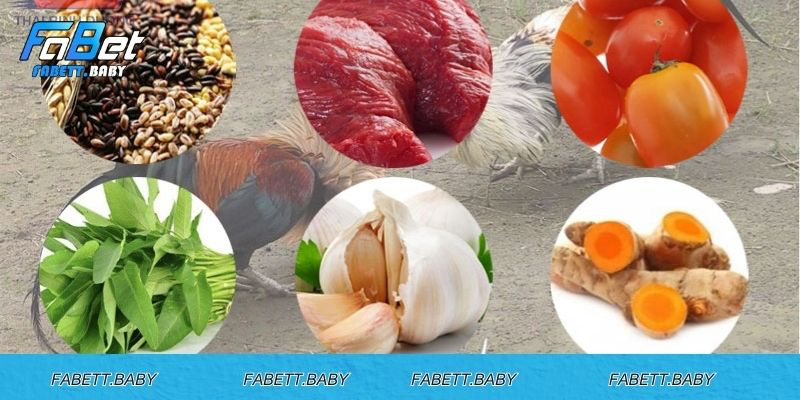 Cung cấp đầy đủ dinh dưỡng và nghỉ ngơi