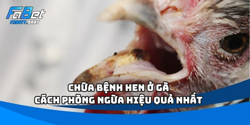 Chữa bệnh hen ở gà