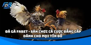 Đá Gà