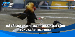 đá gà cựa dao Philippines