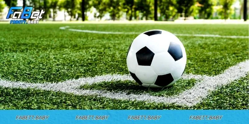 Cược phụ hấp dẫn được yêu thích tại nhà cái
