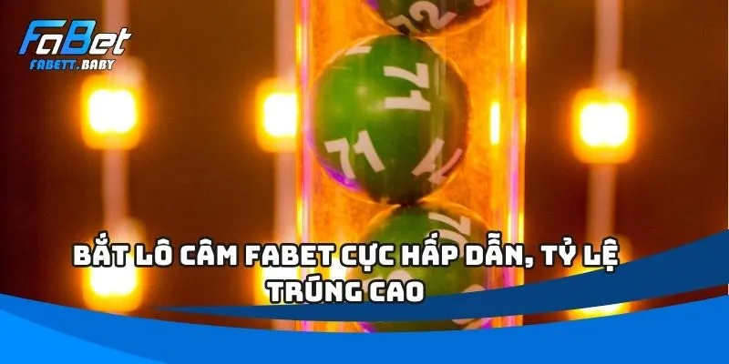 lô câm
