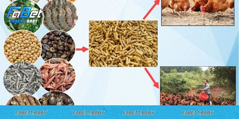 Chế độ dinh dưỡng để phát huy tiềm năng tối ưu