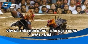 Vảy Gà Thới Hoa Đăng – Báu Vật Trong Giới Gà Đá