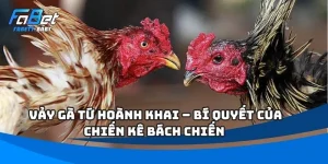 Vảy Gà Tứ Hoành Khai – Bí Quyết Của Chiến Kê Bách Chiến 